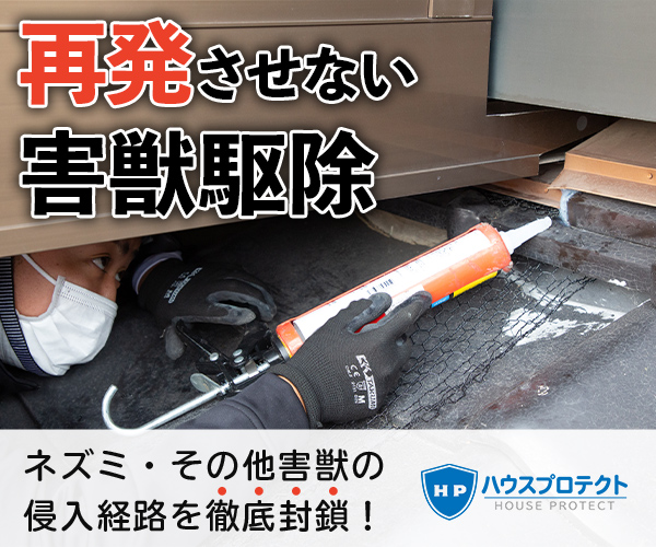 ハウスプロテクト